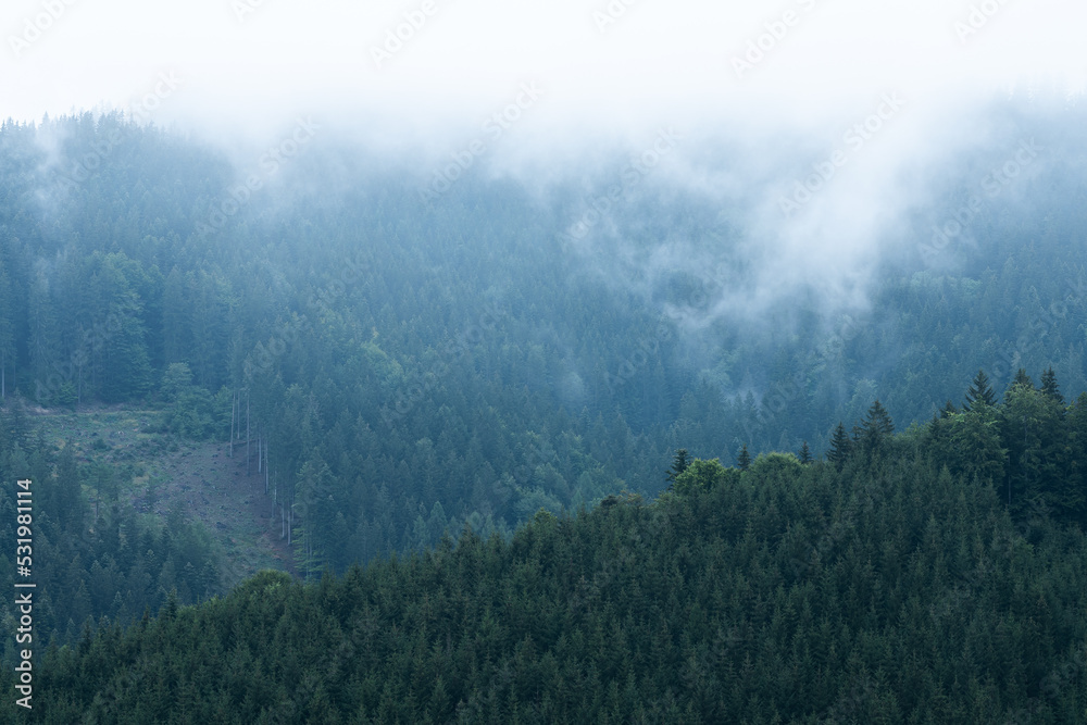 Foggy mountain and forest landscape with the best mystic atmosphere in the east of Bohemia. Foggy mountain and forest landscape with the best mystic atmosphere in the east of Bohemia.