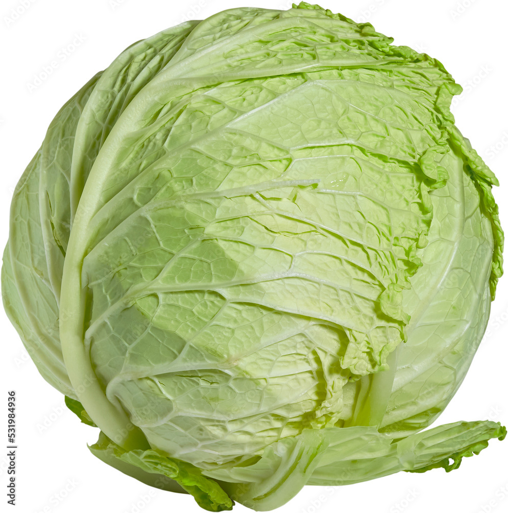 Obraz premium Green cabbage