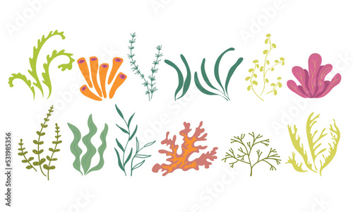 Underwater marine flora. Seaweed ocean plants phytoplankton, algae, laminaria, sea moss. Green seaware set. Vector illustration on a white background