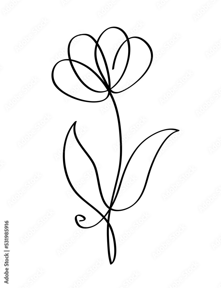 Flower with one line, PNG with transparent background. Flower with one line, PNG with transparent background.