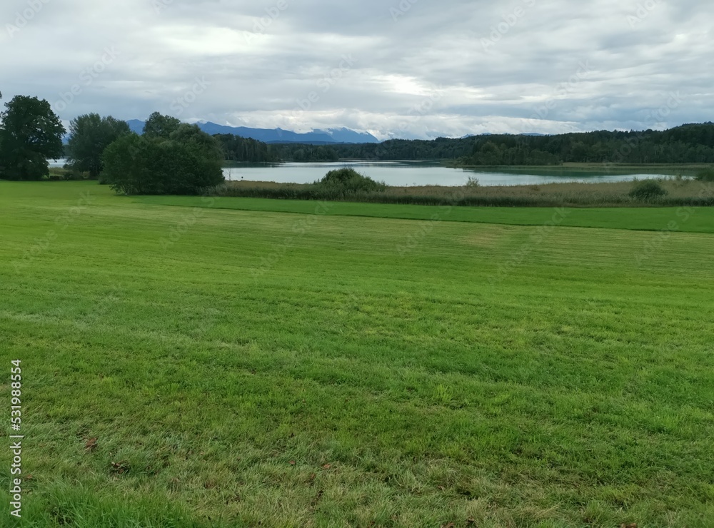 Obraz premium field and sky