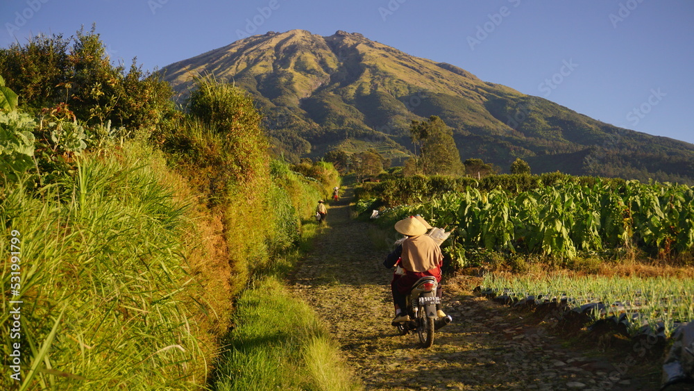Magelang, Indonesia - September 15th 2022 : Defocused image of An Indonesian farmer walking on the roadto go to plantation on the slope of Mount Sumbing. 