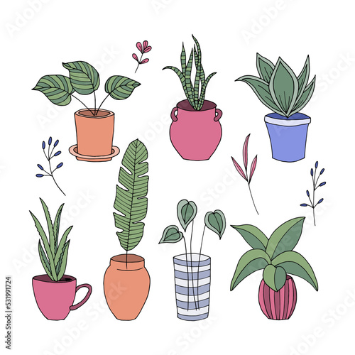 Homemade flowers in pots. Hand-drawn vector illustration for greeting and invitation card, postcards.