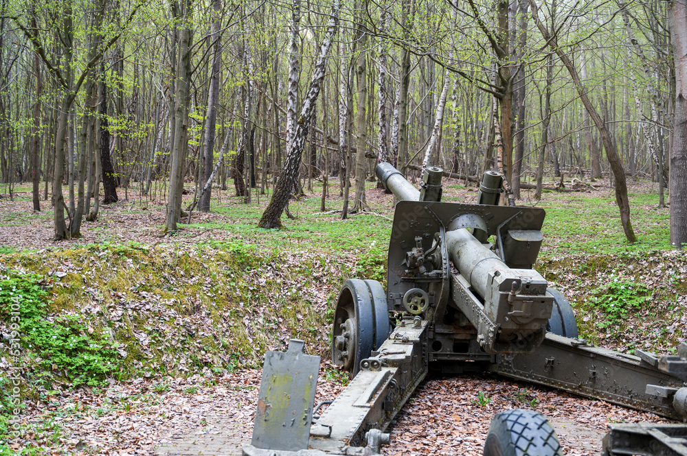 Fototapeta premium Cannon from the Second World War in forest on concrete base.
