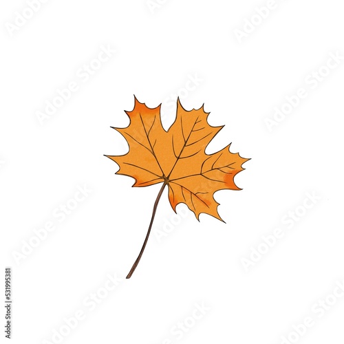Maple leaf watercolor freehand illustration. autumn leaf close up