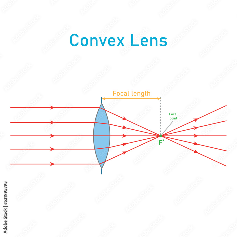 convex lens schematic diagram in optics physics. Stock Vector Adobe Stock