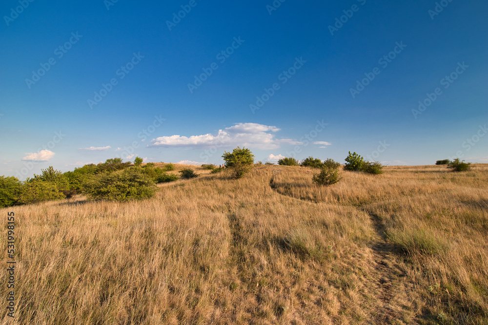 Dry grass on Table mountain in Palava, in hot summer day under white clouds and blue sky. Czech Republic.