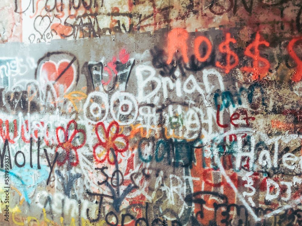 Fototapeta premium graffiti on the wall