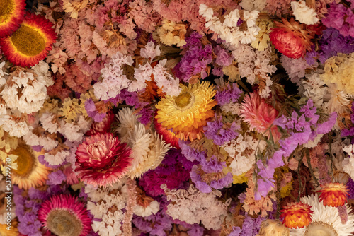 Mass of colourful dried flowers, photographed with a macro lens at a garden in Wisley, Surrey UK. © Lois GoBe