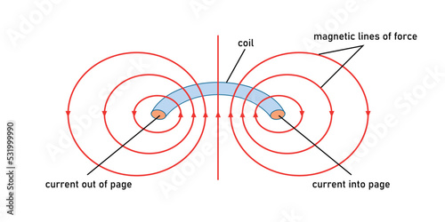 The lines of force around the edges of a coil.