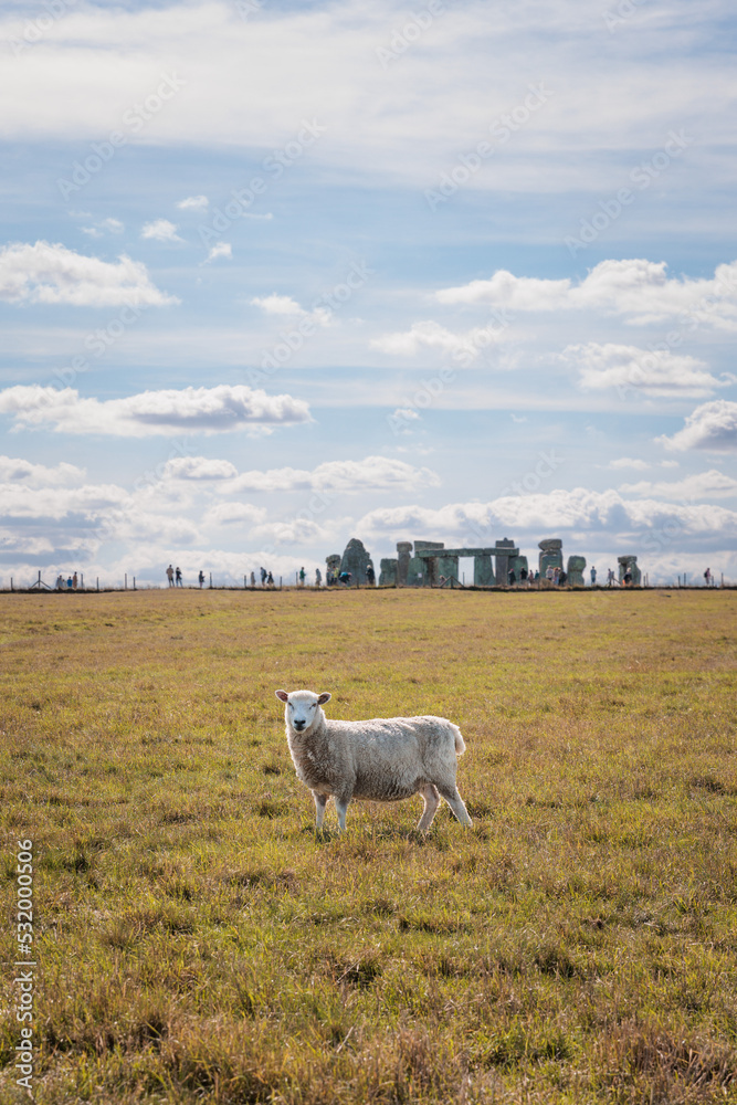 Sheep in the grass, near the historical landmark Stonehenge Sheep in the grass, near the historical landmark Stonehenge