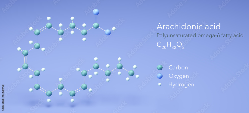 arachidonic acid, molecular structures, omega-6, ball and stick model 3d, Structural Chemical Formula and Atoms with Color Coding - obrazy, fototapety, plakaty 