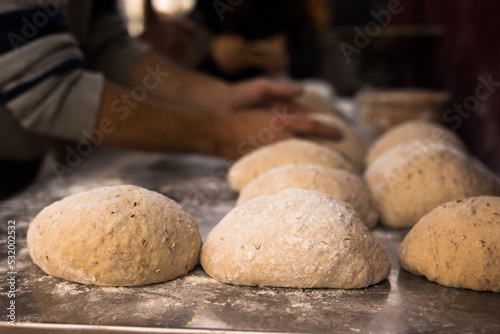 bread preparation. loaves of dough before baking