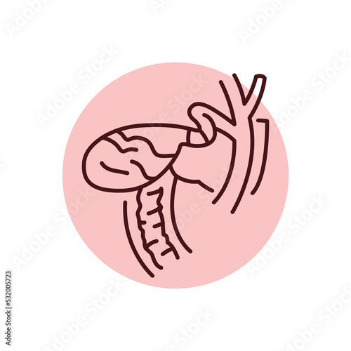 Bile in bladder color line icon. Human diseases.