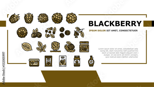 blackberry fruit berry black food landing web page vector. black summer ripe plant, summer dessert, organic fresh berries wild blackberry fruit berry black food Illustration