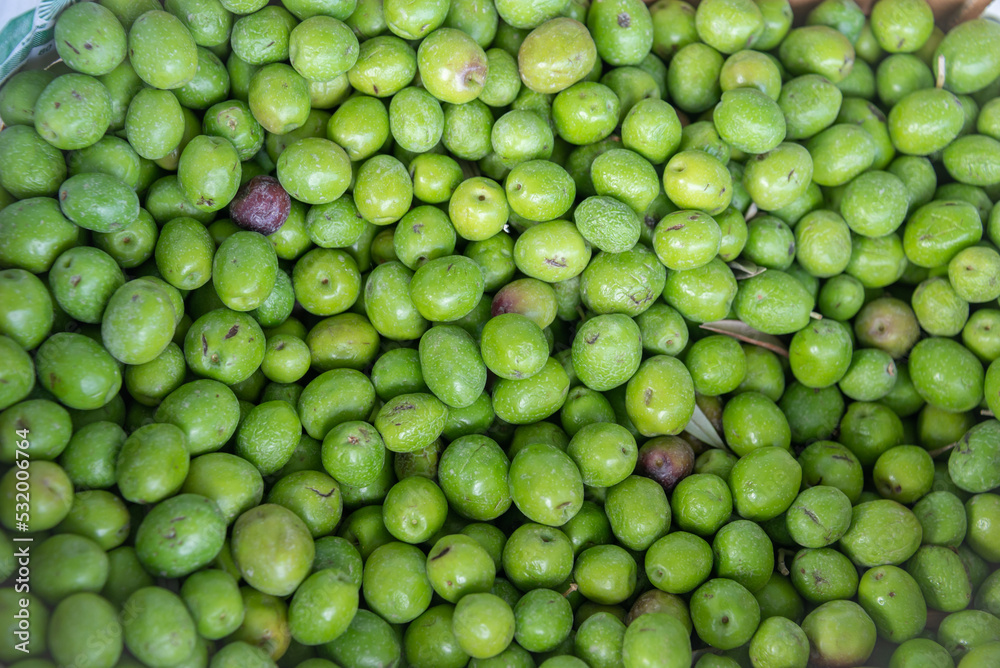 Raw Olive Background ready to put them in salted water Raw Olive Background ready to put them in salted water