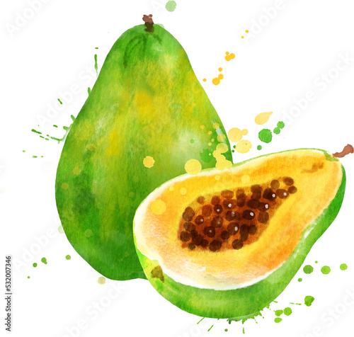 Watercolor illustration of papaya fruit photo