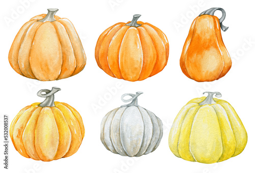 Pumpkins of different colors, watercolor illustration on an isolated background.