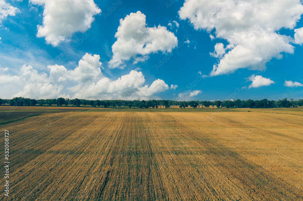 Fototapeta premium Beautiful countryside meadow landscape