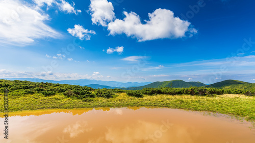 landscape with lake in summer. peaceful reflection in the water. beautiful travel view in chernohora ridge  ukraine. tranquil nature background. green outdoor scenery