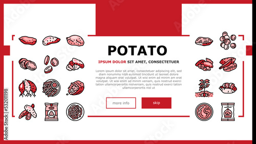 potato sweet food yam orange landing web page vector. vegetable root, healthy red organic, raw slice diet cut, ingredient yellow tuber top potato sweet food yam orange Illustration