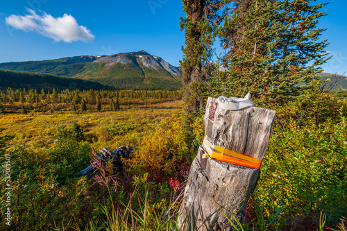 Mining Claimpost, Cassiar Valley photo