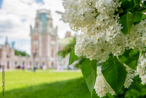 Photography White lilac against the backdrop of the Grand Palace in Tsaritsyno park, Moscow,