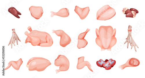 Chicken Meat with Different Parts of Whole Carcass and Separated Vector Set