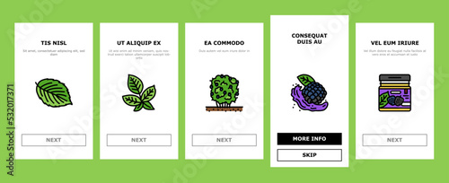 blackberry fruit berry black food onboarding mobile vector. black summer ripe plant, summer dessert, organic fresh berries wild blackberry fruit berry black food color line illustrations