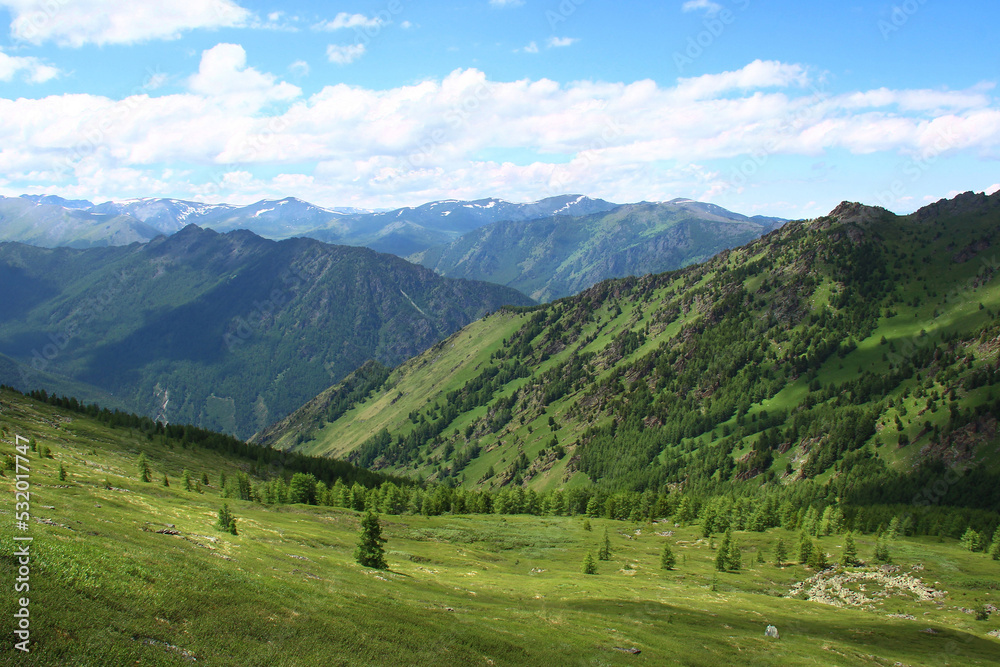Alpine valley in Altai with huge mountains in summer, grass and trees grow on green slopes, mountain ranges in the distance, sky with clouds, clear summer day