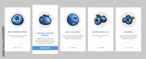 blueberry biberry blue berry onboarding mobile vector. fruit food, fresh leaf, sweet dessert, organic nature forest antioxidant blueberry biberry blue berry color line illustrations