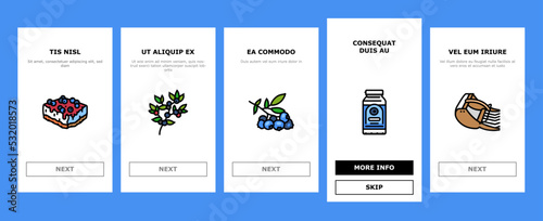 blueberry biberry blue berry onboarding mobile vector. fruit food, fresh leaf, sweet dessert, organic nature forest antioxidant blueberry biberry blue berry color line illustrations