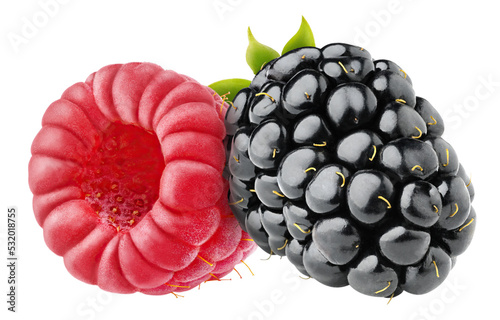 One blackberry and one raspberry fruit cut out