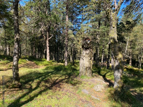 Trollgarten auf dem Berg Floyen in Bergen, Norwegen photo