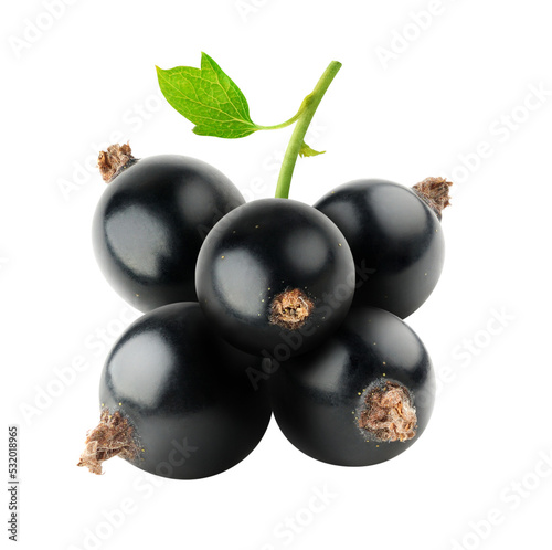 Black currants cut out photo