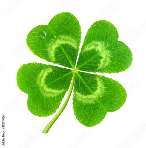 Fototapete Four-leaf lucky clover (symbol of Saint Patrick's day) cut out