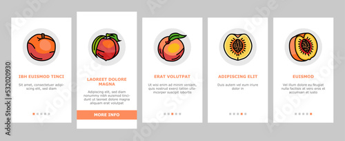 peach fruit nectarine juicy onboarding mobile vector. orange leaf, slice fresh food, yellow sweet summer, red cut ripe, organic nature peach fruit nectarine juicy color line illustrations