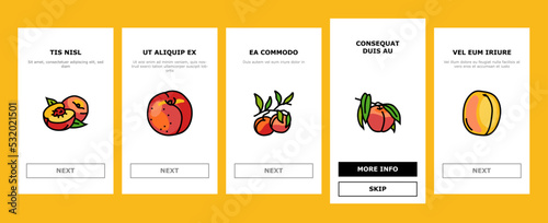 peach fruit nectarine juicy onboarding mobile vector. orange leaf, slice fresh food, yellow sweet summer, red cut ripe, organic nature peach fruit nectarine juicy color line illustrations