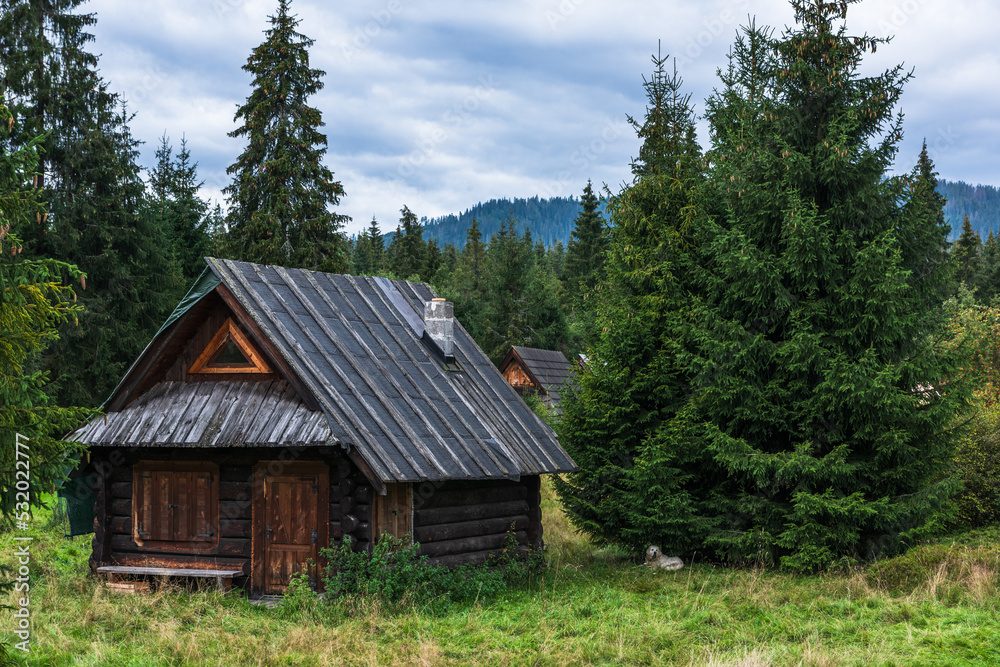 Traditional wooden shepherd hut in Carpatian mountains, Poland