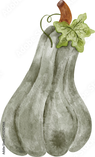 Pumpkin harvest Watercolor clipart, png element