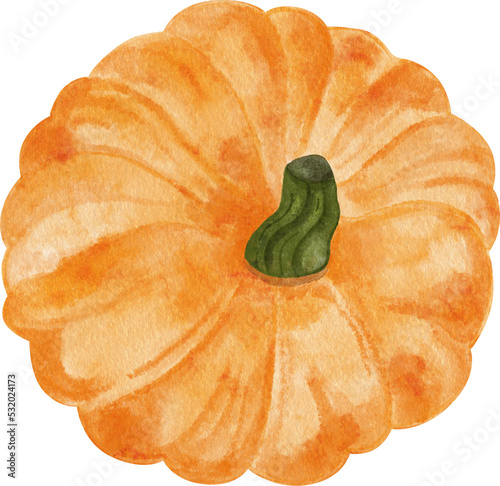 Pumpkin harvest Watercolor clipart, png element