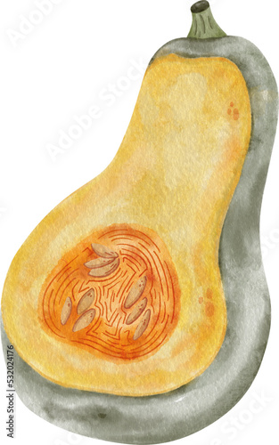 Pumpkin harvest Watercolor clipart, png element