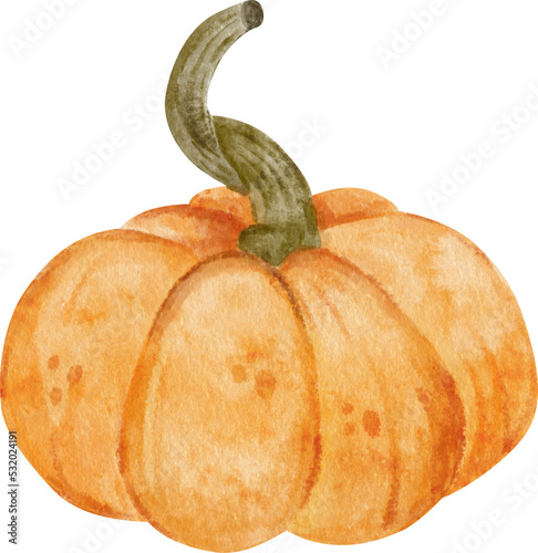 Pumpkin harvest Watercolor clipart, png element