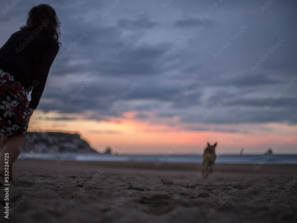 Woman playing with her dog on the beach at sunset