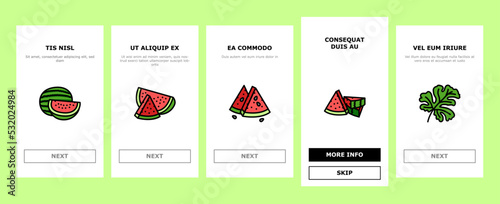 watermelon summer fruit slice onboarding mobile vector. melon red food, water juice, green fresh sweet, pink juicy, tropical seed watermelon summer fruit slice color line illustrations