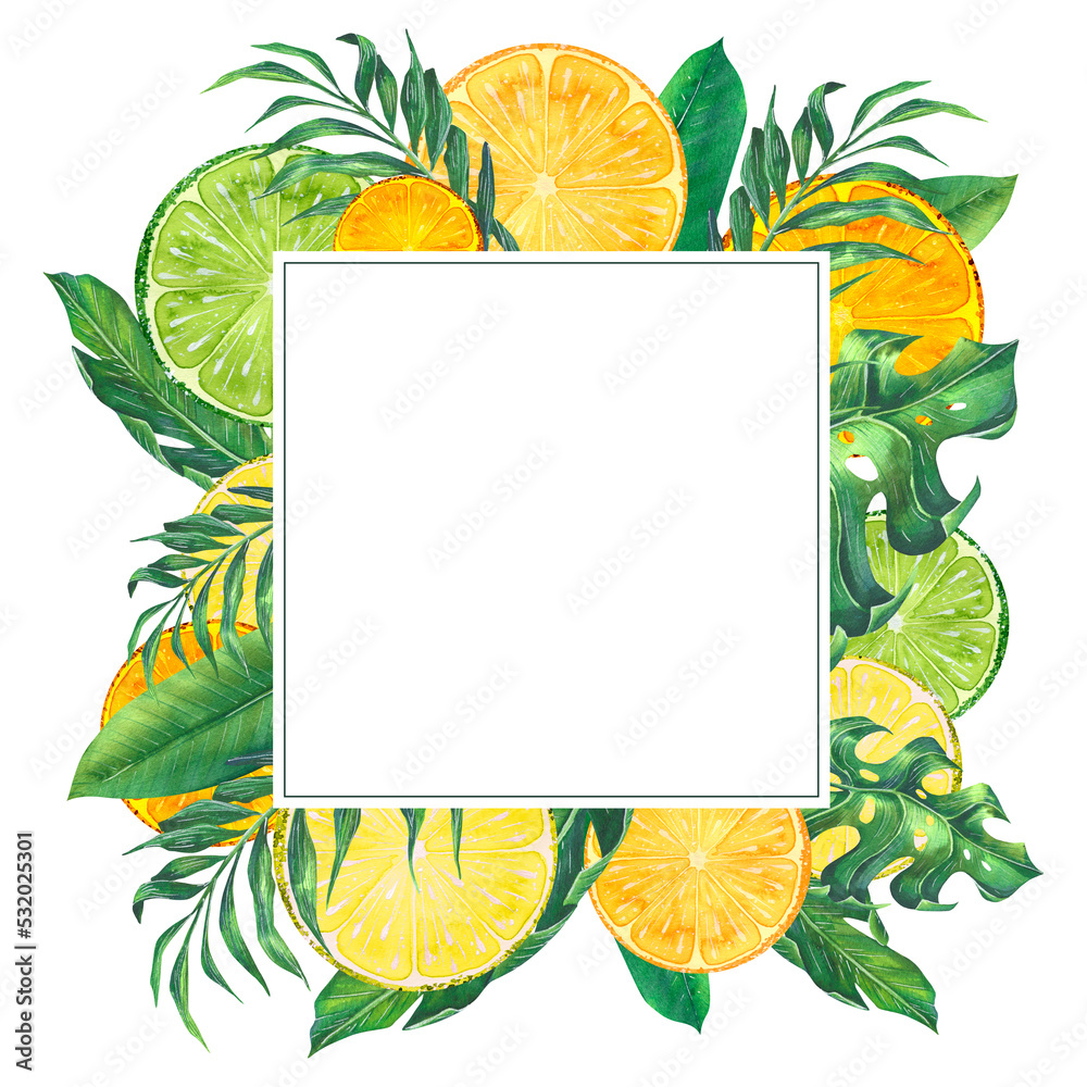 Ilustracja Stock Citrus fruits, pieces of lemon, lime, orange