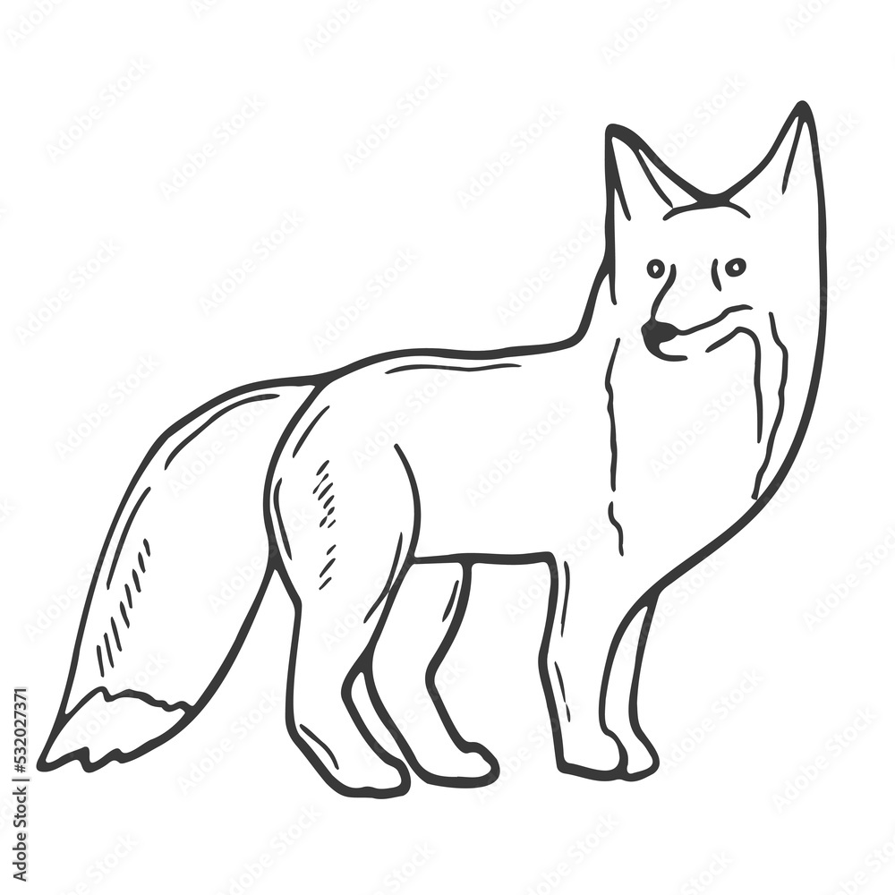 Contour image of a fox. Black silhouette of an animal. Doodle icon of a sitting fox. Simple black hand drawing for decoration. Vector clipart