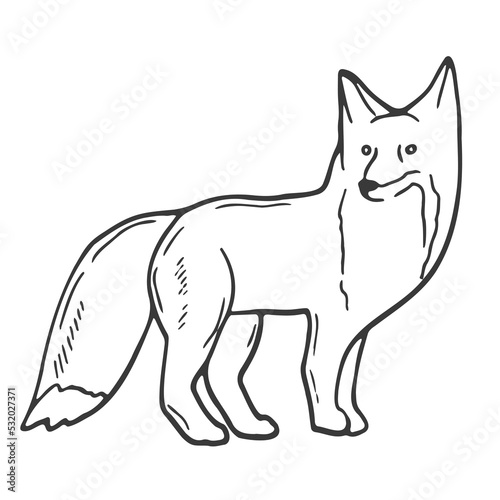 Contour image of a fox. Black silhouette of an animal. Doodle icon of a sitting fox. Simple black hand drawing for decoration. Vector clipart © Saramix