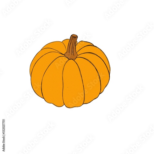 Pumpkin watercolor drawing free hand. Pumpkin for Thanksgiving. Bright pumpki...