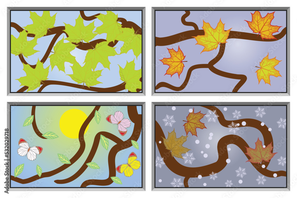 Maple branch in winter, spring, summer and autumn, - all seasons in one window Maple branch in winter, spring, summer and autumn, - all seasons in one window